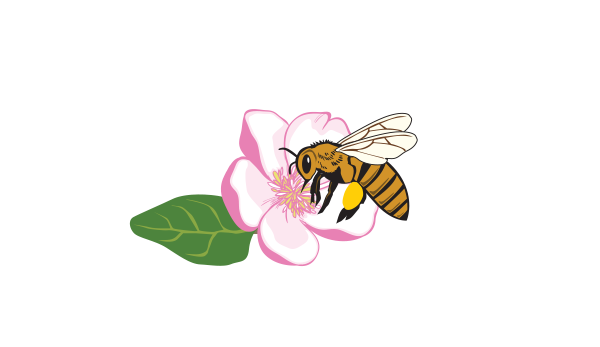 Country Blossoms Honey